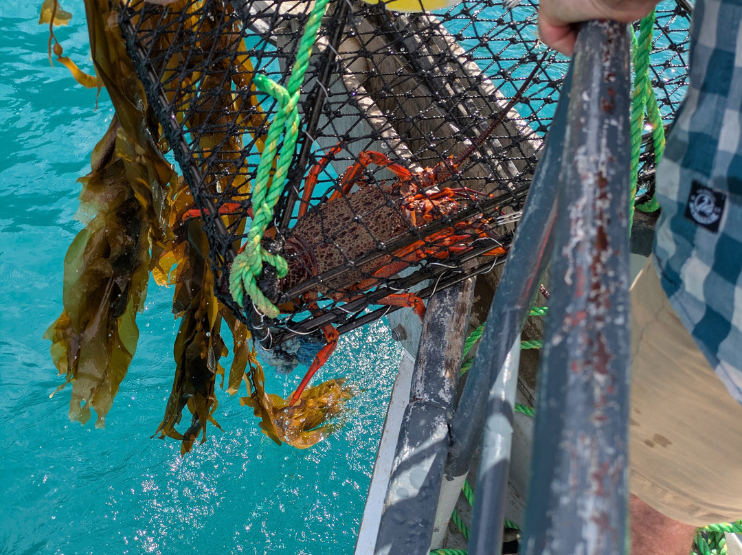 Coast Up Close-阿卡罗阿必去景点