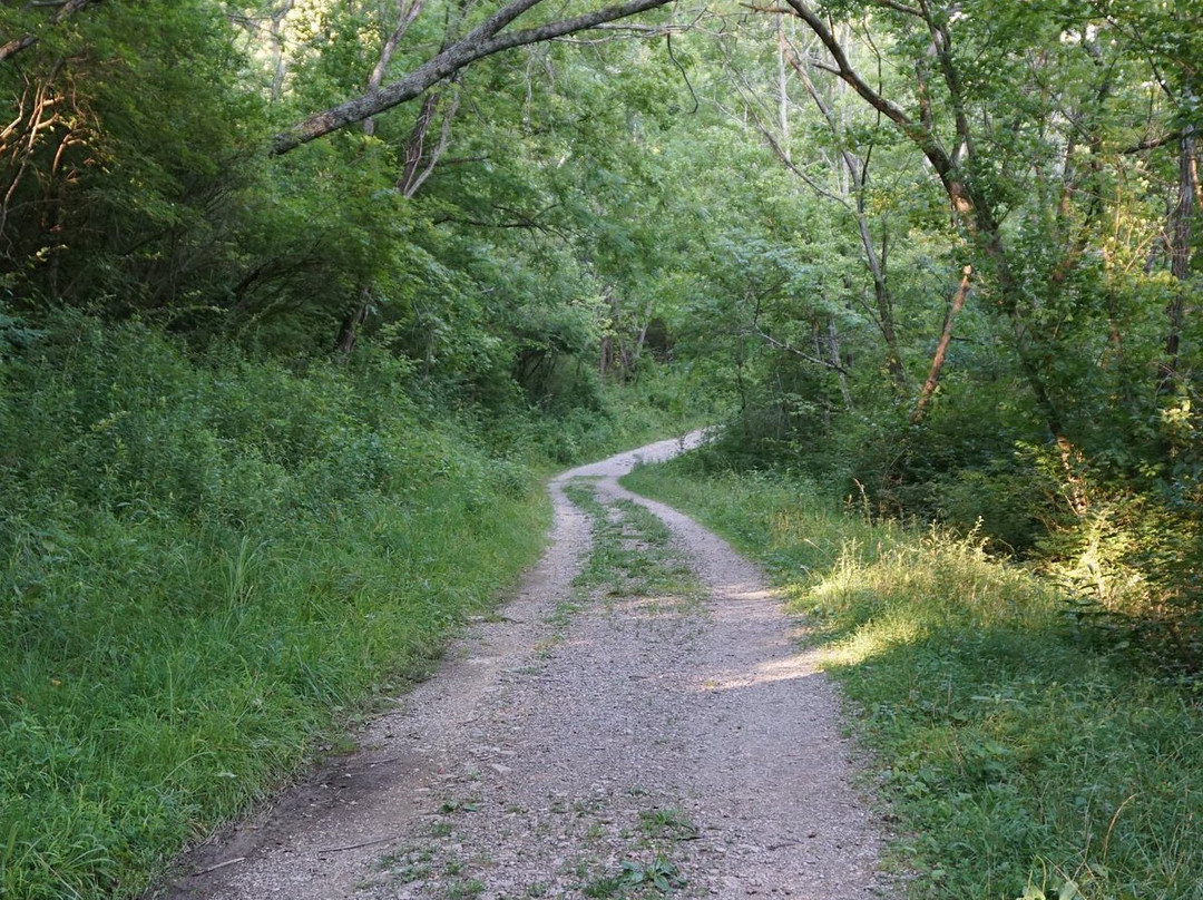Doe Run Lake Park-卡温顿必去景点