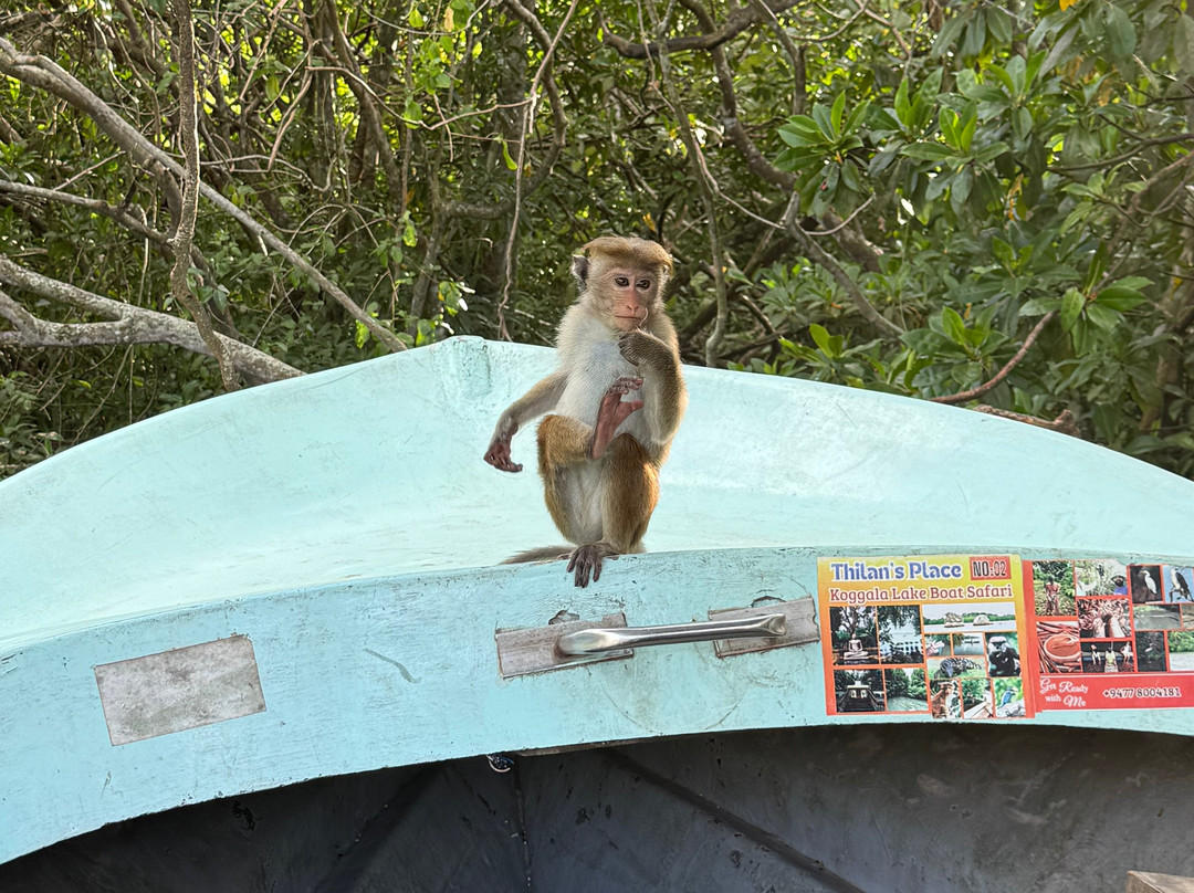 Eddy's Expeditions-加勒必去景点