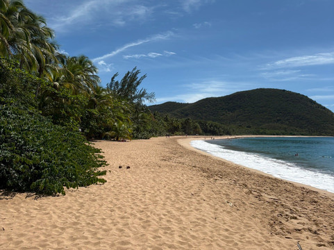 Plage de Grande Anse-Deshaies必去景点