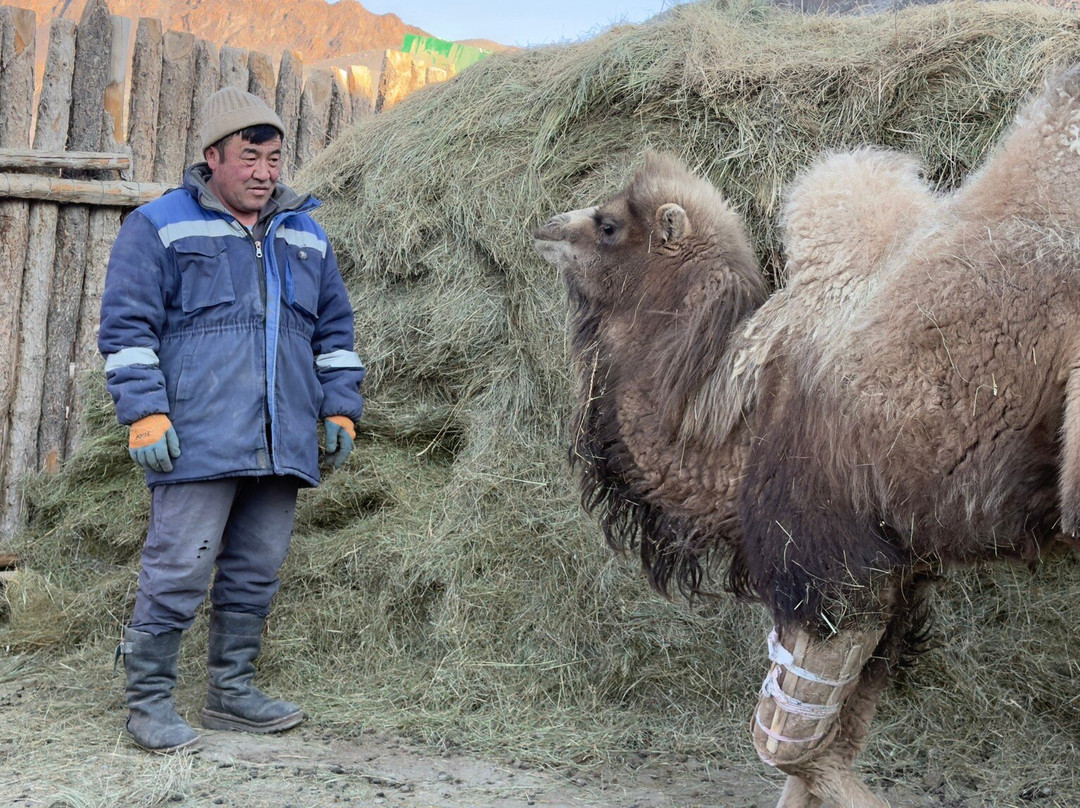 Discover Kazakh Nomads LLC-Olgiy必去景点