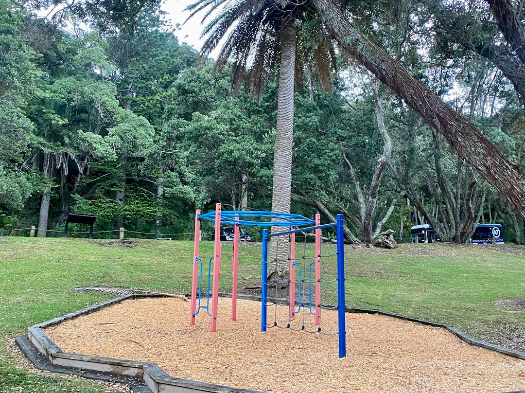 Hinemoa Park-Birkenhead必去景点