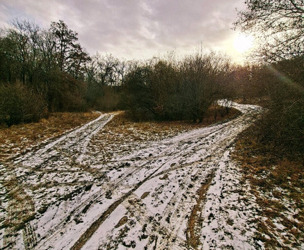 Hoia Baciu Forest-克卢日-纳波卡必去景点