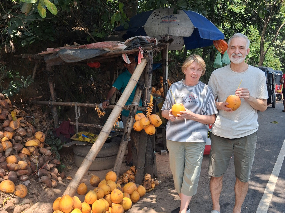 Ceylon Excursions Travel & Tours-班托塔必去景点