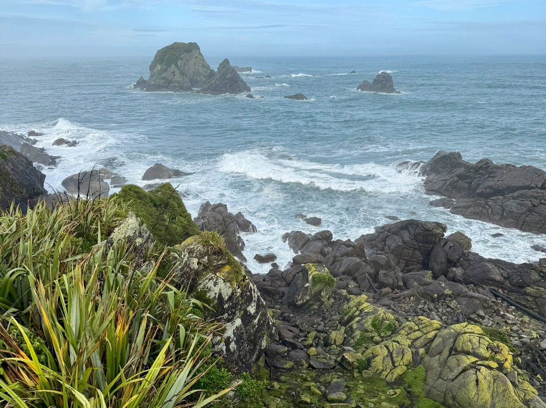 开普福尔温德角步道-韦斯特波特必去景点