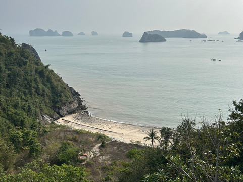 Cat Ba Eco Tourist-Cat Ba Town必去景点