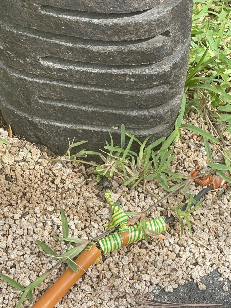 芙蓉精品酒店-官方