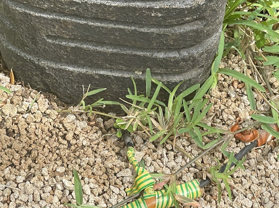 芙蓉精品酒店主图