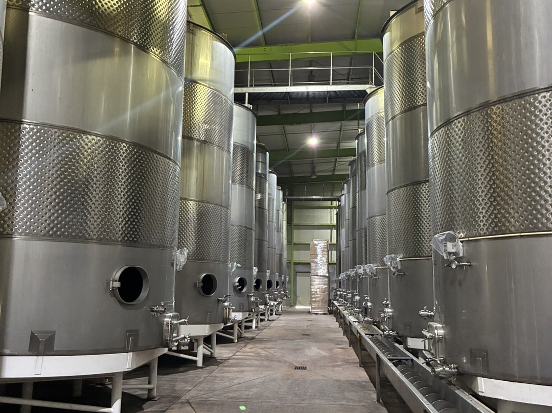 L.A. Cetto Boutique Valle de Guadalupe-Valle de Guadalupe必去景点
