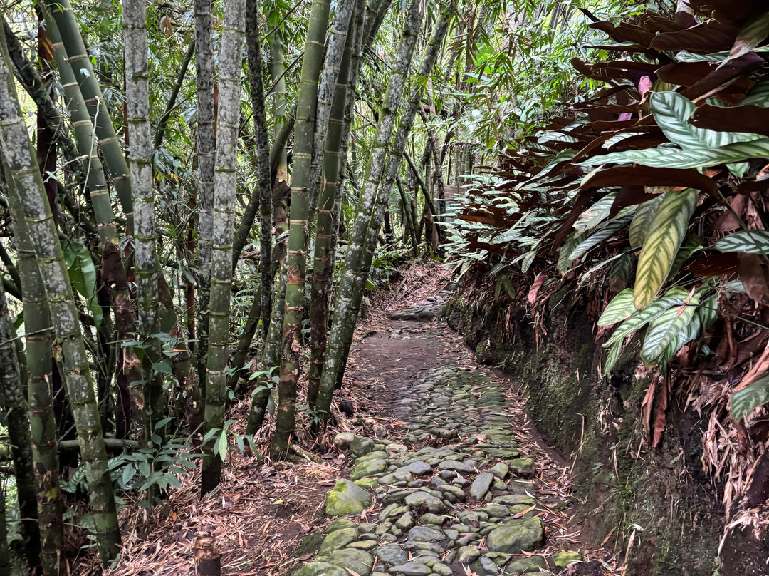 Jardin Botanico Alejandro Humboldt-Marsella必去景点
