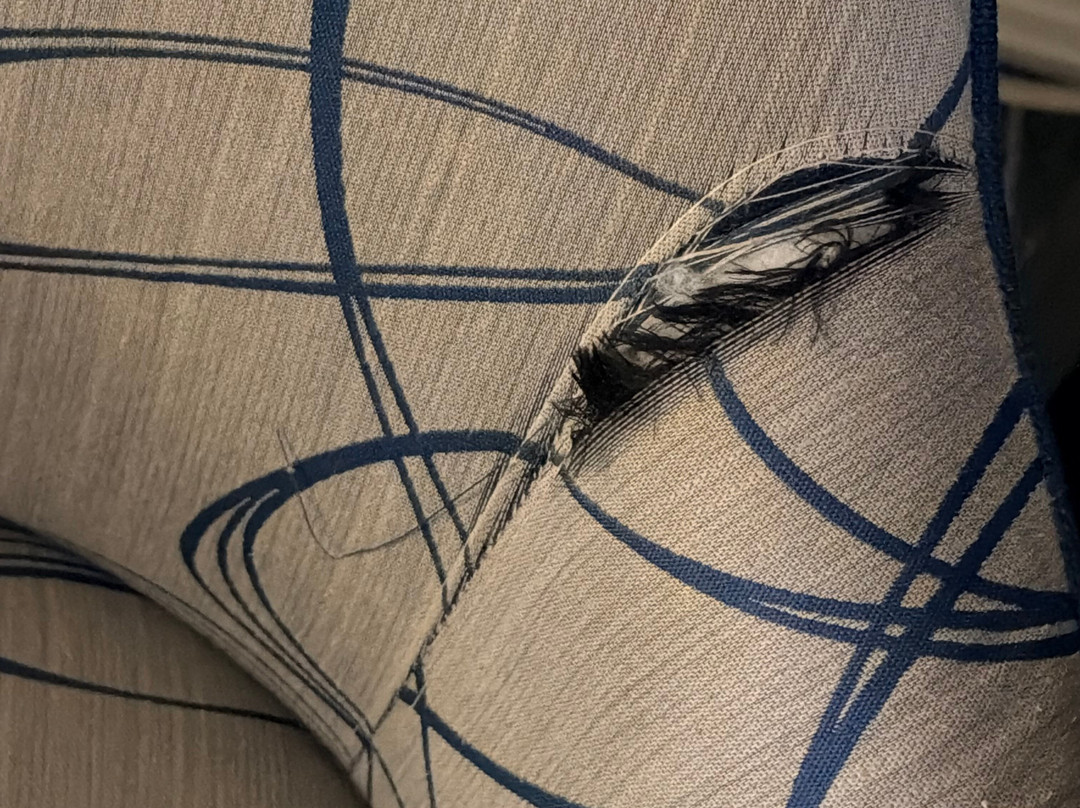 瓦科欢朋酒店主图