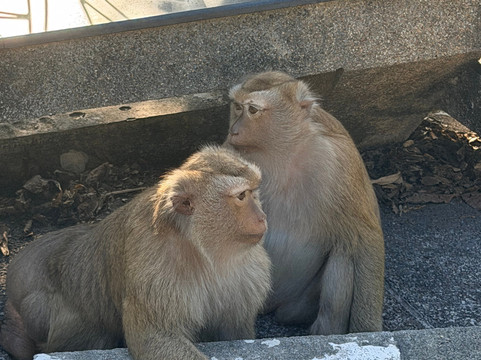 Thai Adventure Club-攀牙必去景点