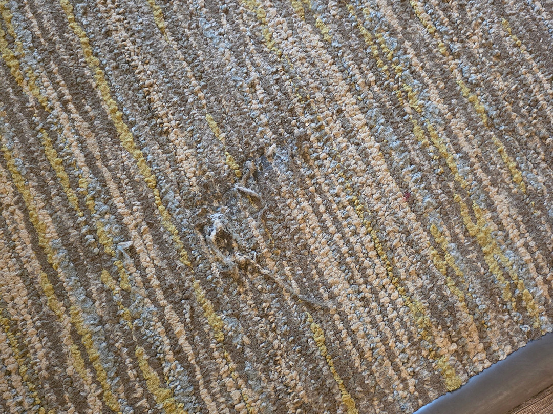 Candlewood Suites 玛丽湖主图