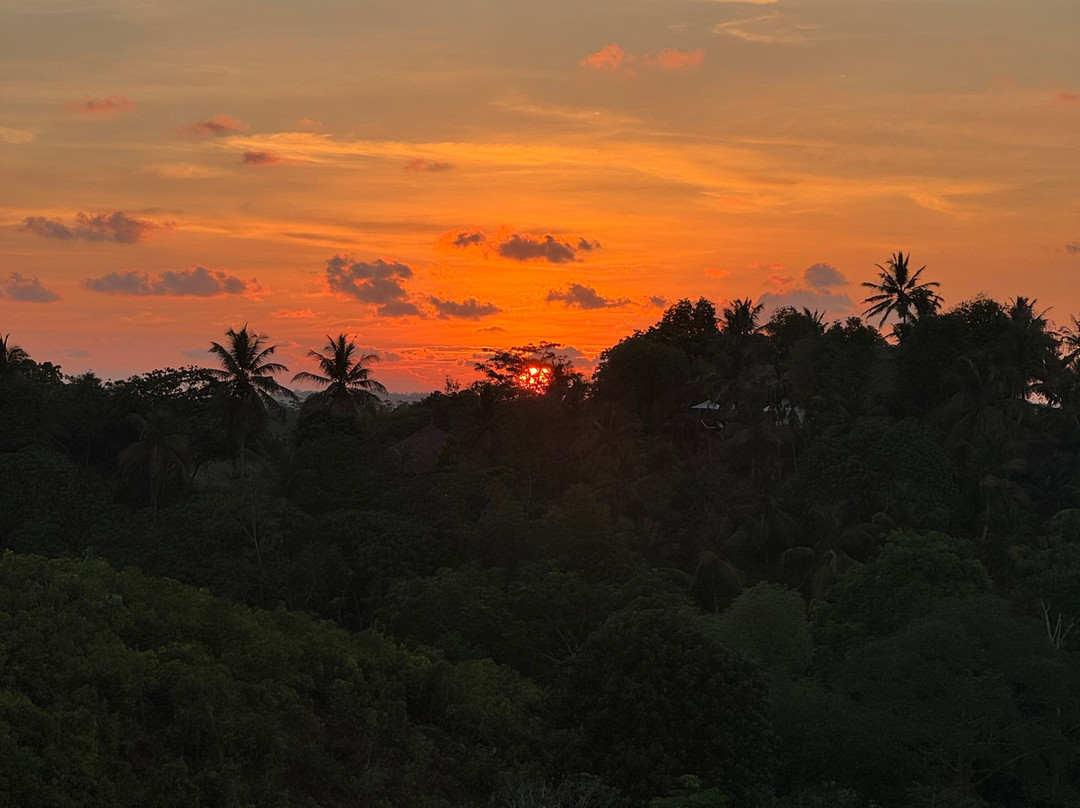 Sri Lankan Personal Drivers-科伦坡必去景点