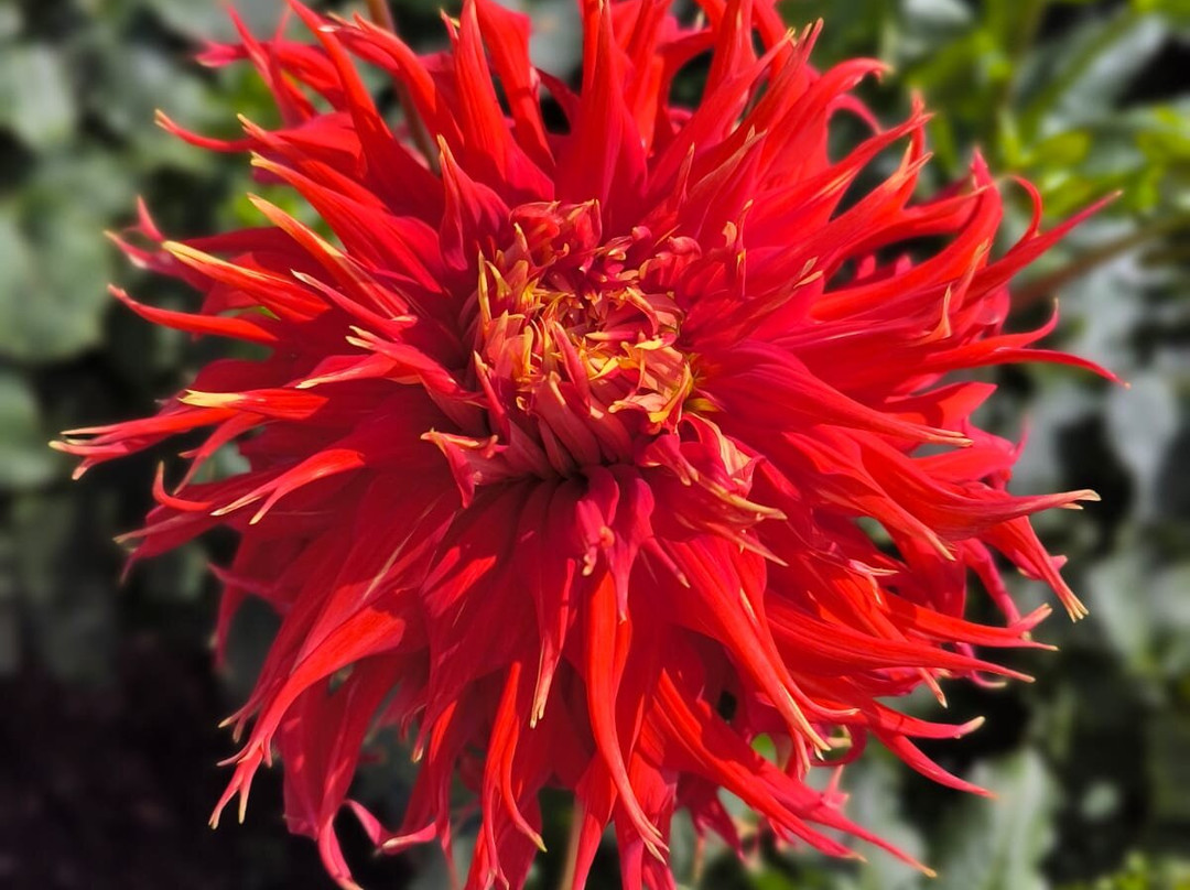 Jardin Botanique Jean-Marie Pelt-Villers-les-Nancy必去景点