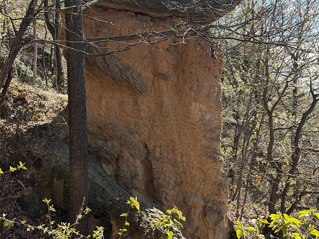 Riserva Naturale dei Ciciu del Villar-Villar San Costanzo必去景点