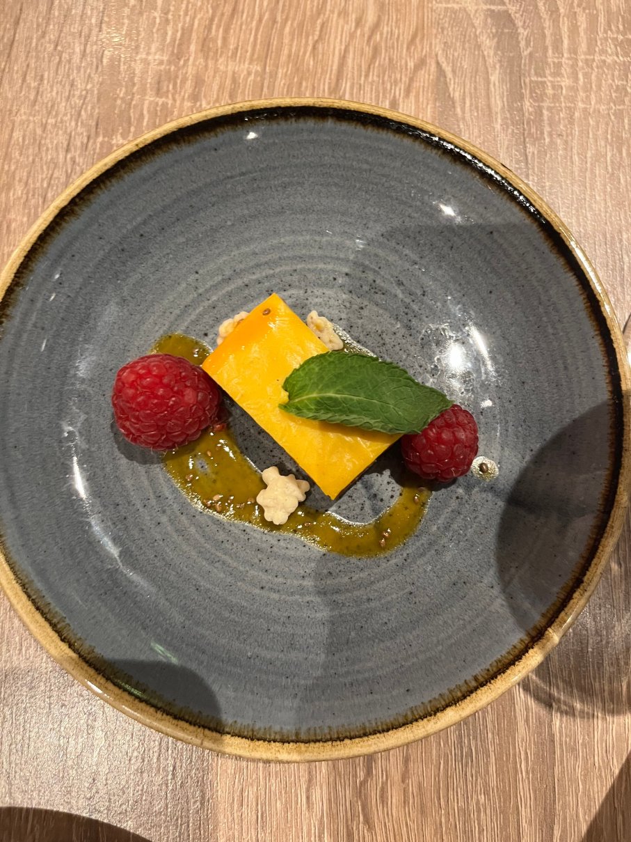 多特蒙德丽笙蓝标酒店-官方