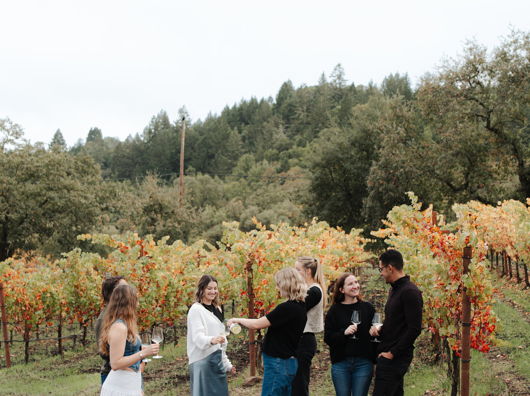 Michel-Schlumberger Wine Estate-希尔兹堡必去景点
