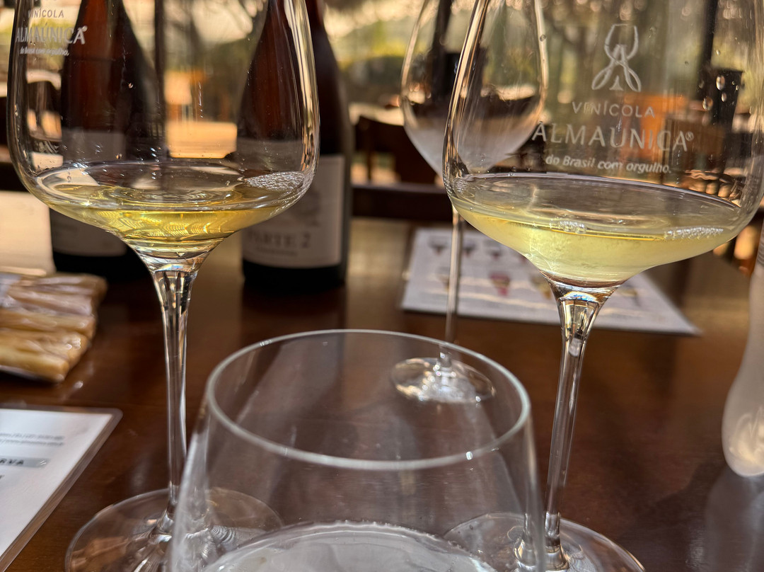 Almaunica Winerie-本图贡萨尔维斯必去景点