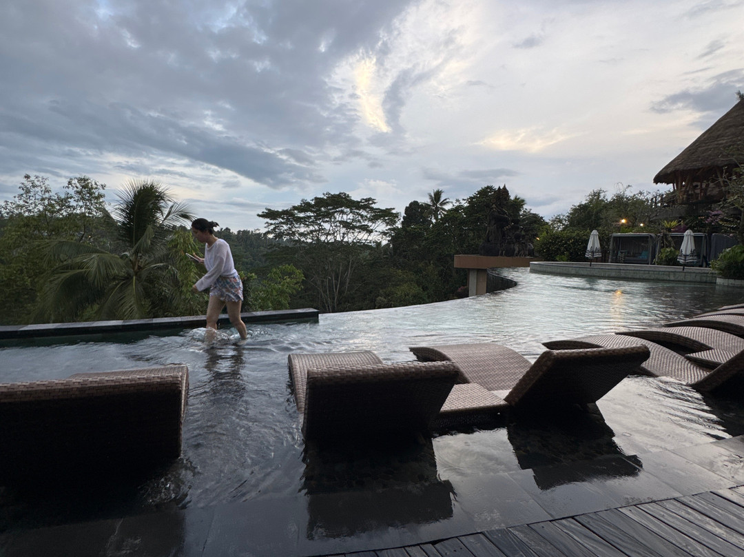 Wanna Jungle Pool and Bar-佩艳艮必去景点