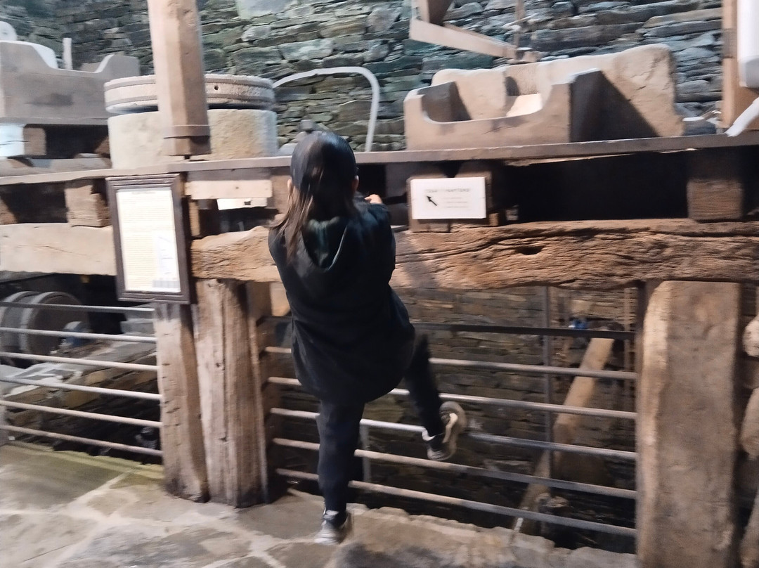 Museo Molinos Mazonovo-Taramundi必去景点