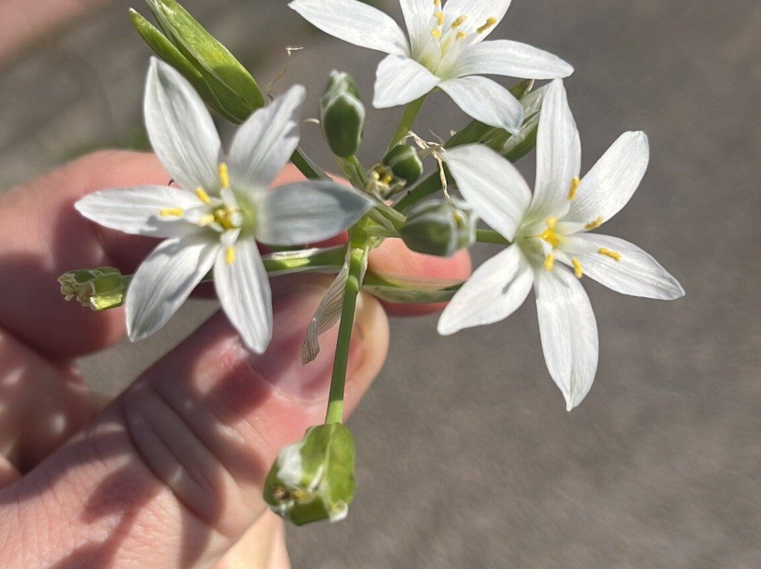 Sleep 'N' Ride Massa Marittima主图