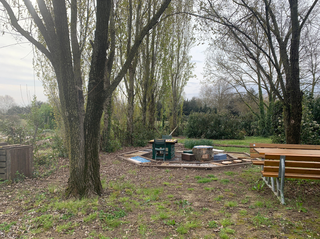 Al Gufo Saggio主图