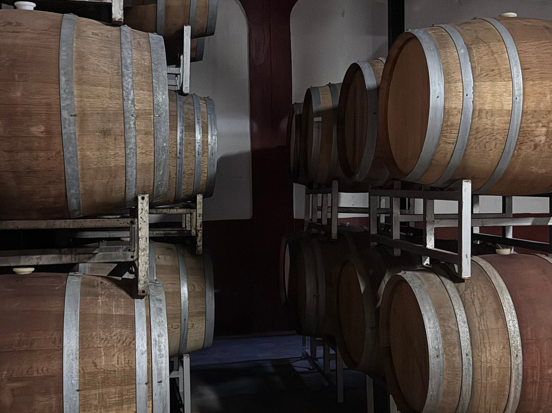 Bodega Alfredo Roca-圣拉斐尔必去景点