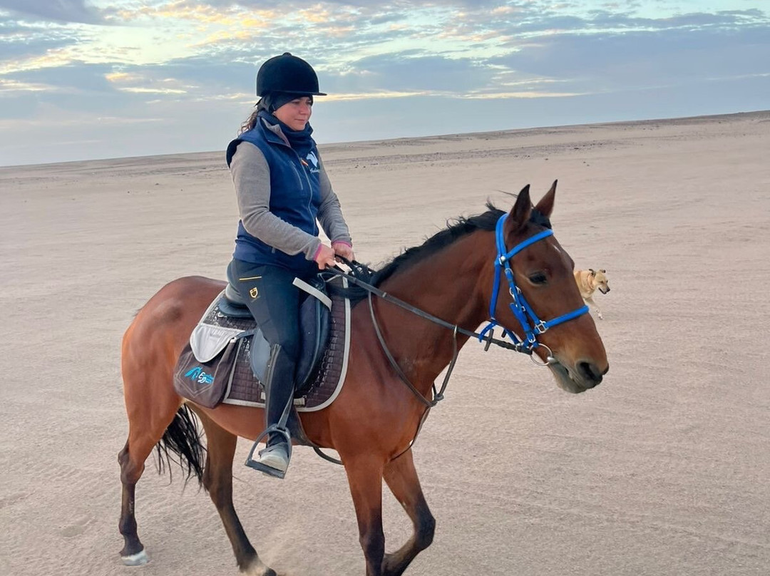 Equestrian Dream Egypt-赫尔格达必去景点