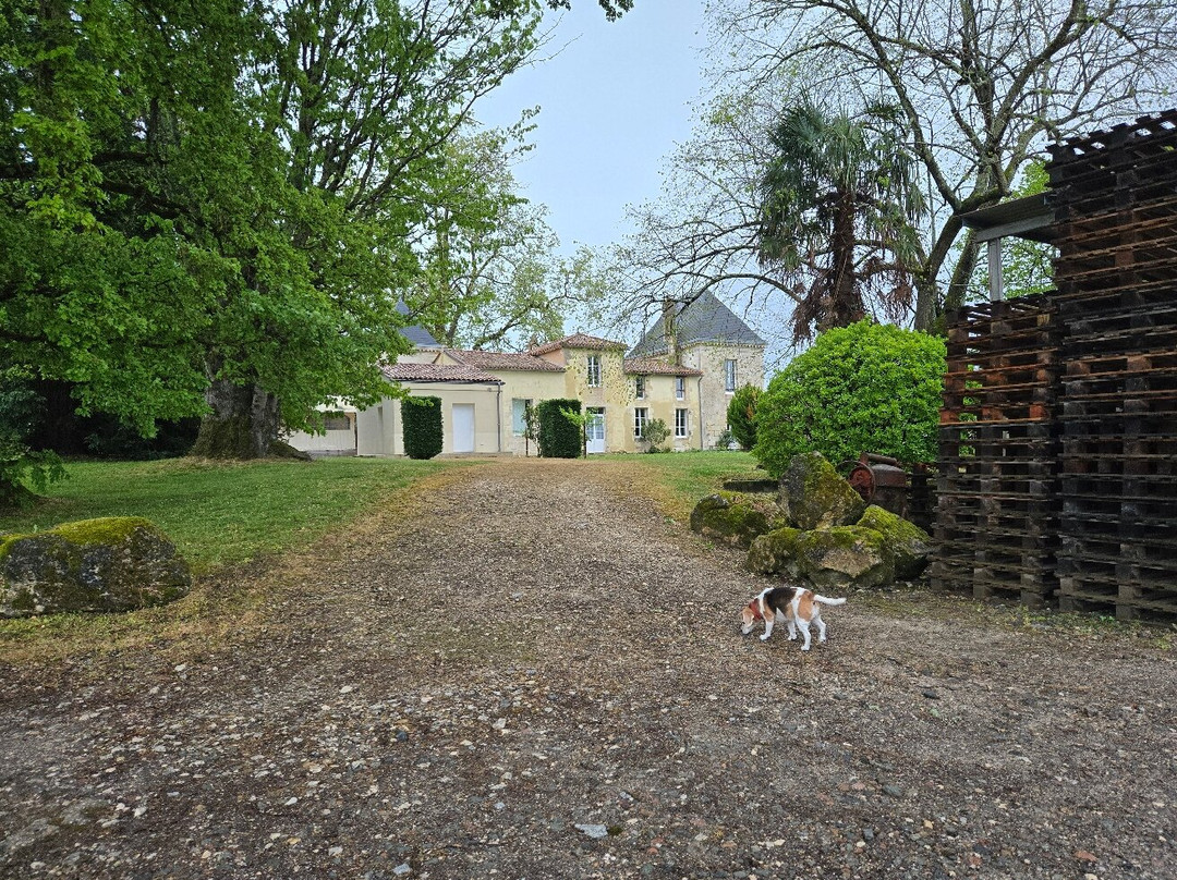 Domaine de la Grave - Vignobles Roche Teycheney-Beychac-et-Caillau必去景点