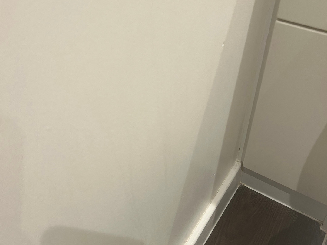 普瑞米尔皮克凌酒店主图