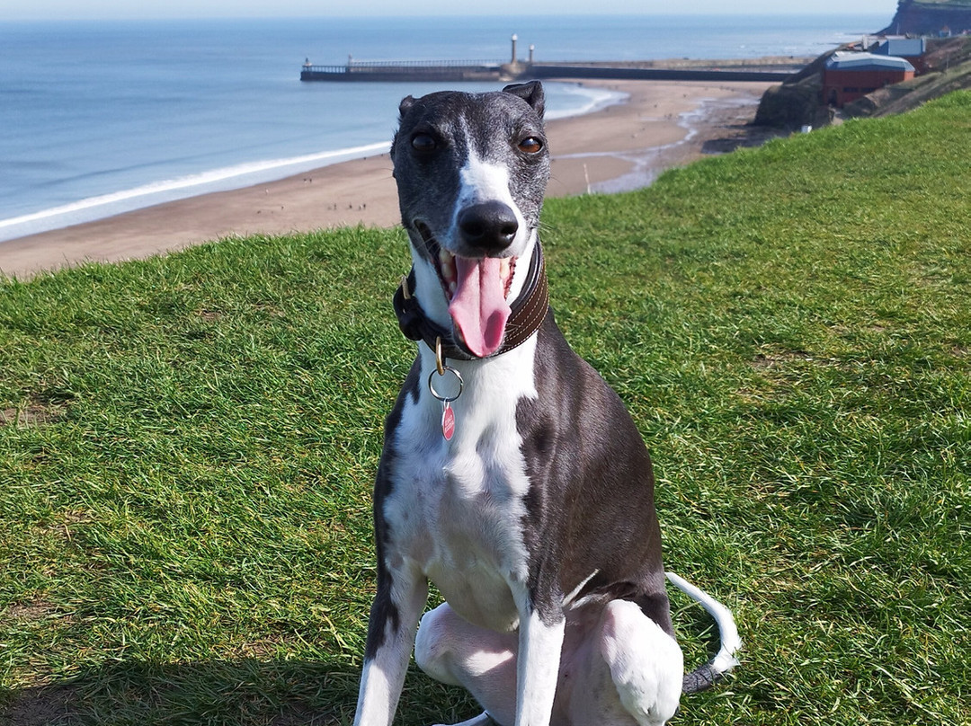 玛丽山酒店主图