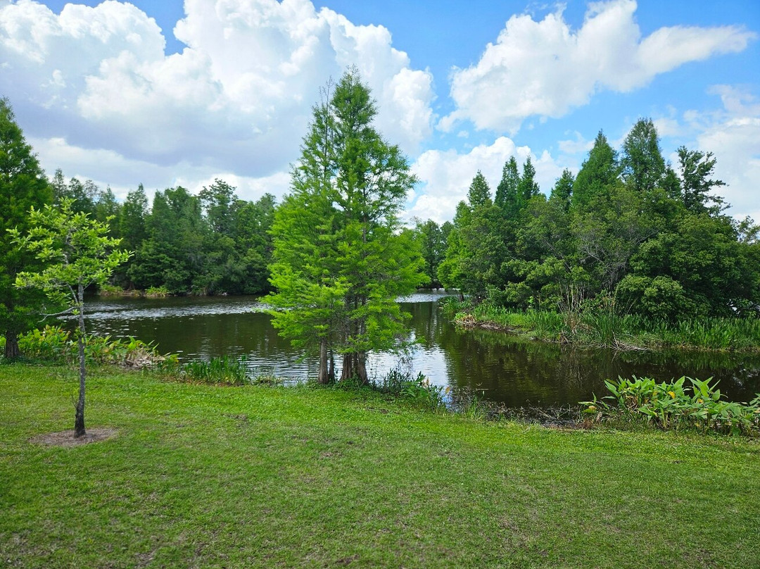South Lake Howard Nature Park-温特黑文必去景点