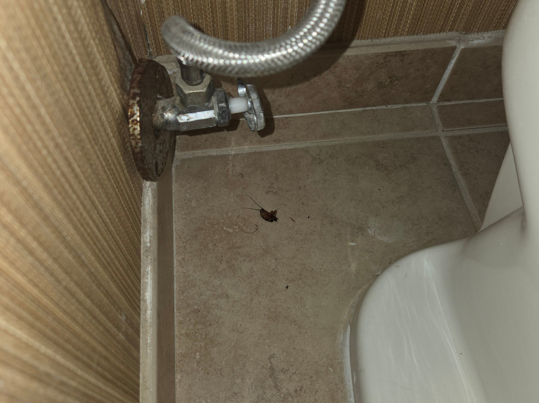 艾迪生酒店 - 贝斯特韦斯特修尔住宿精选酒店主图