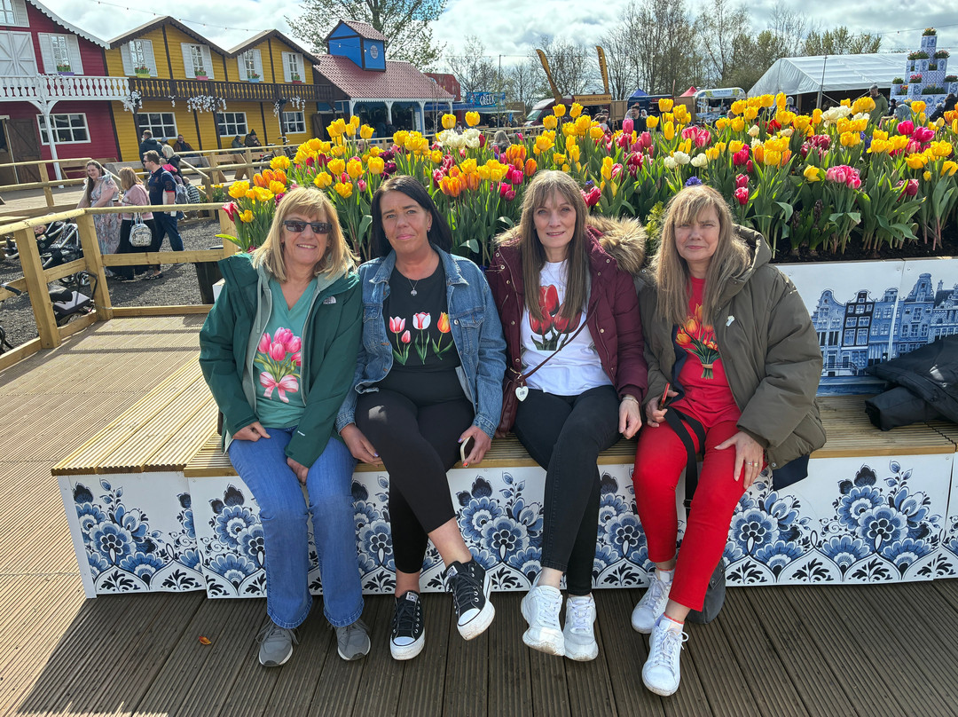 Tulleys Tulip Garden - Warwickshire-沃里克必去景点