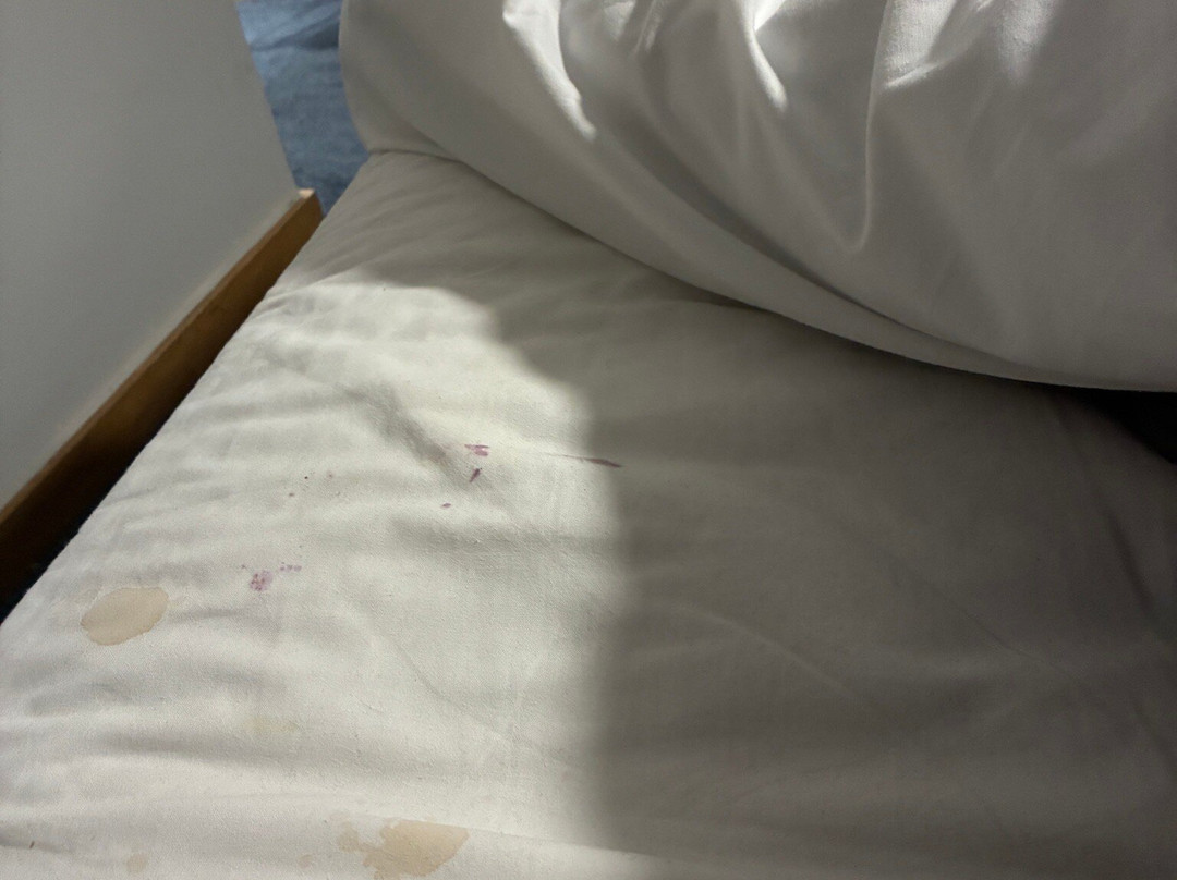 沃特福德市中心旅客之家酒店主图