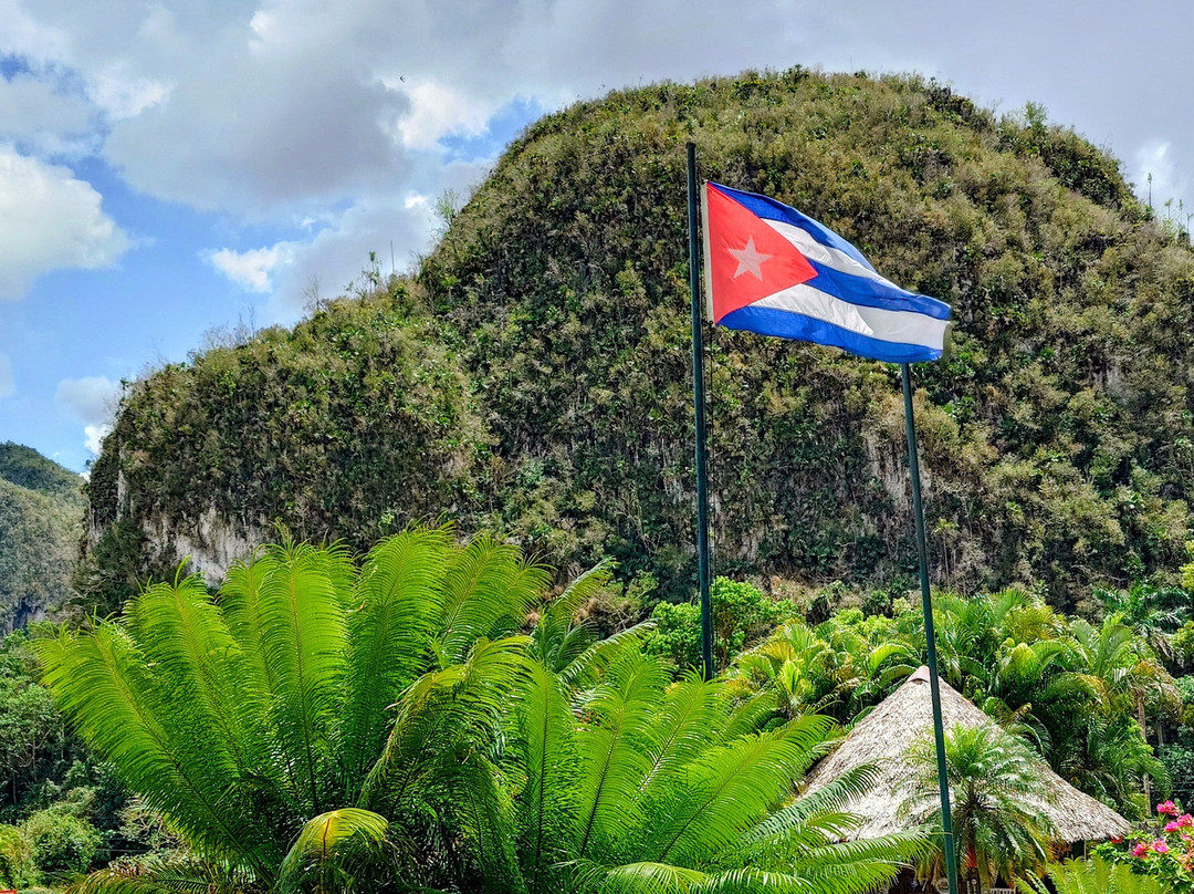 Authentic Tour Delivery-维纳勒斯必去景点