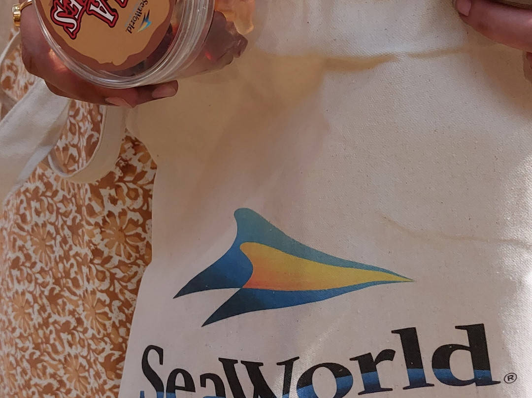 SeaWorld Yas Island Abu Dhabi-阿布扎比必去景点