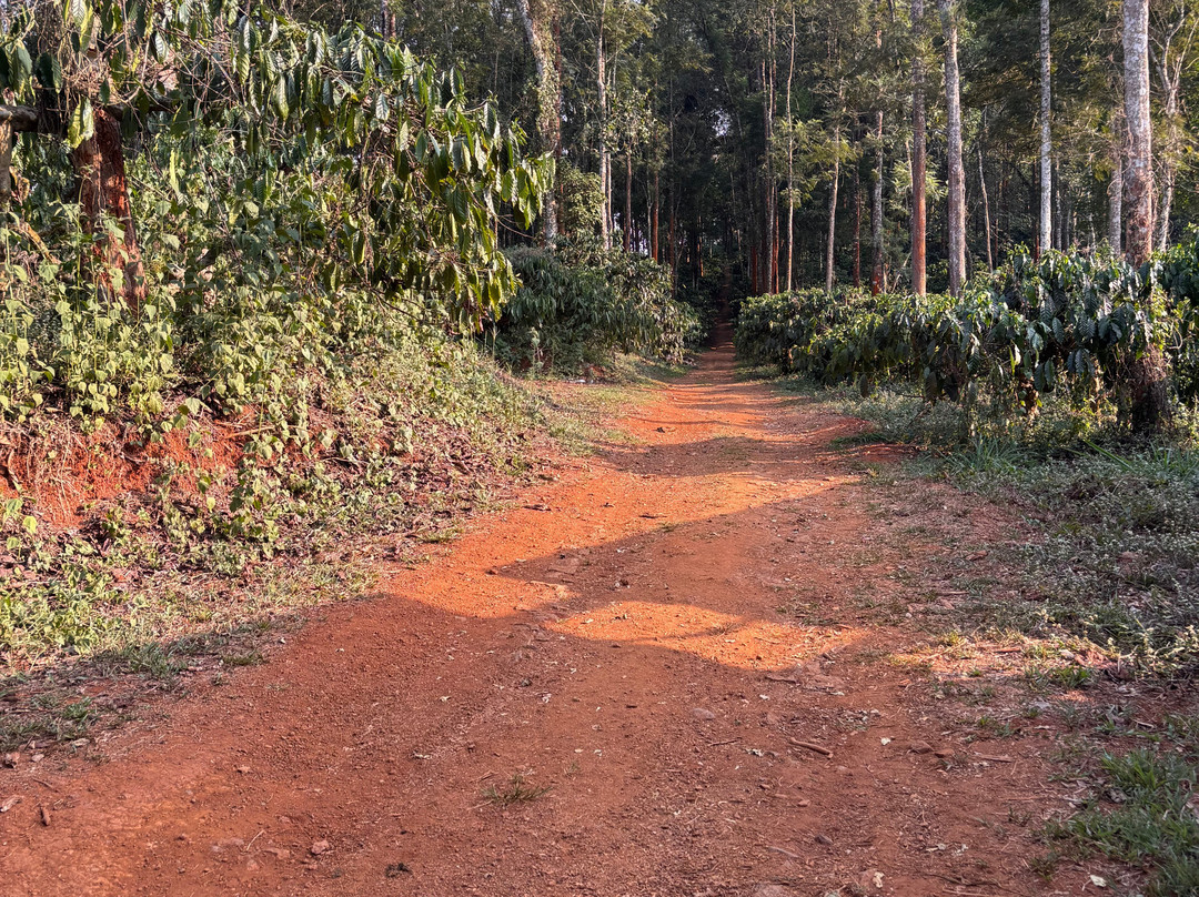 马辛德拉维拉杰佩特俱乐部酒店主图