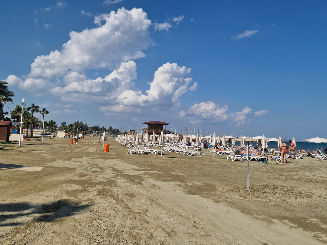 Finikoudes Beach-拉纳加必去景点