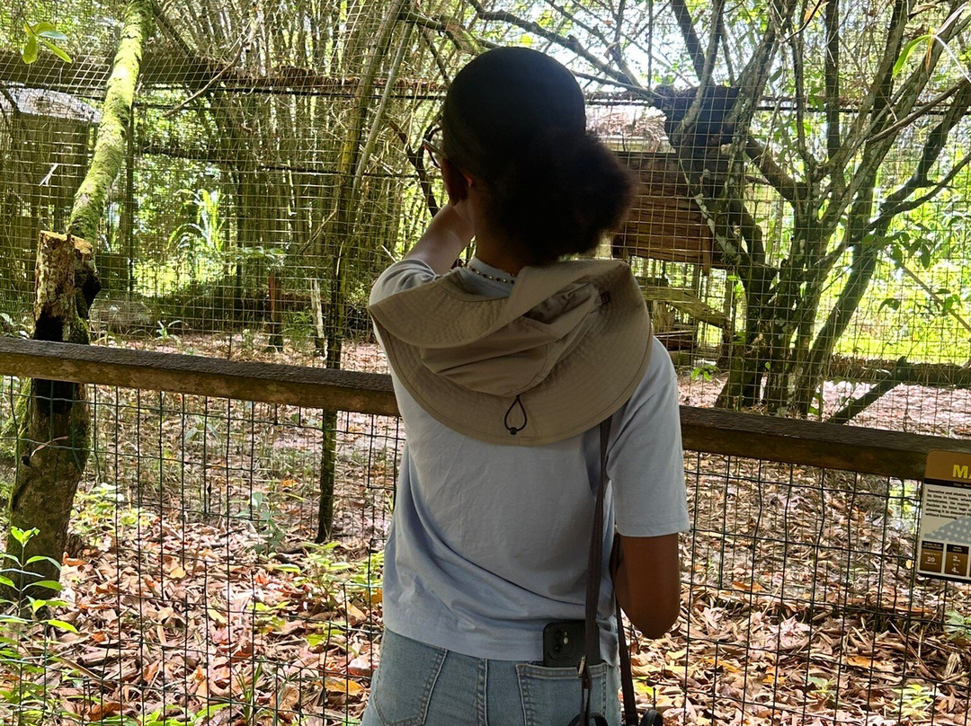 Zoo de Guyane-Macouria必去景点
