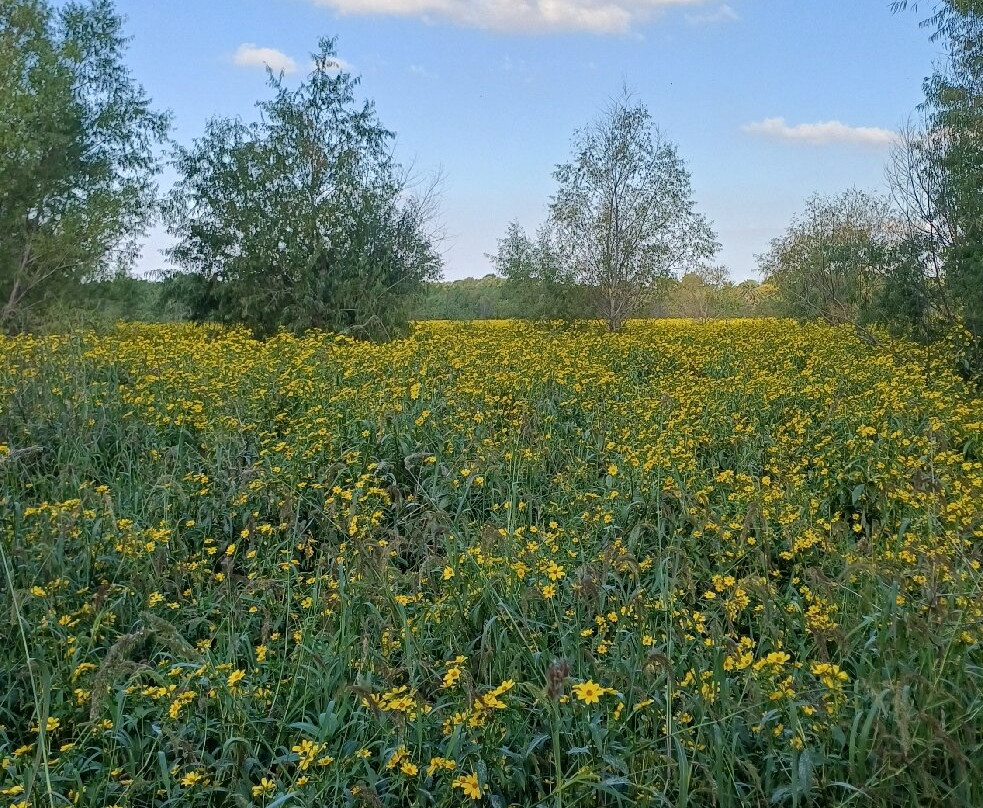 Reserva Ecológica Costanera Sur-布宜诺斯艾利斯必去景点