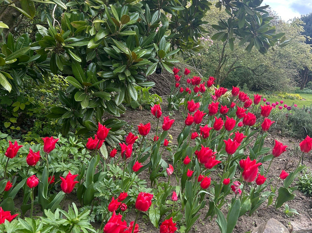 Great Comp Garden-Platt必去景点