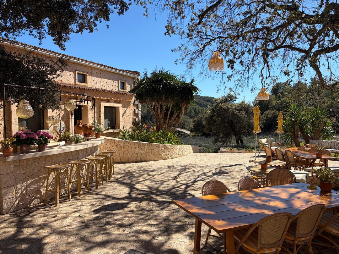 Bodega Terra Ión