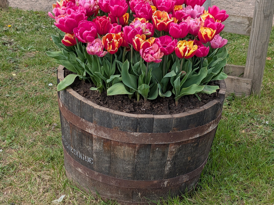 Tulleys-Turners Hill必去景点