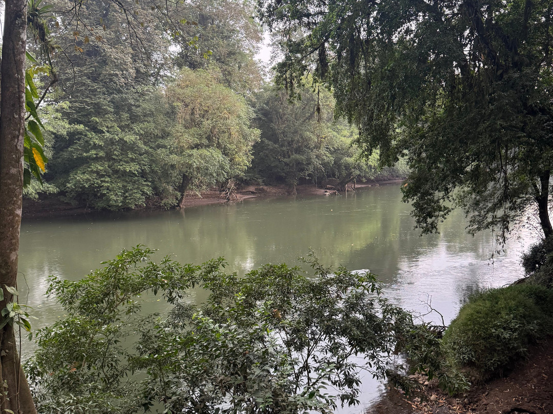 Rio Sarapiqui Lodge