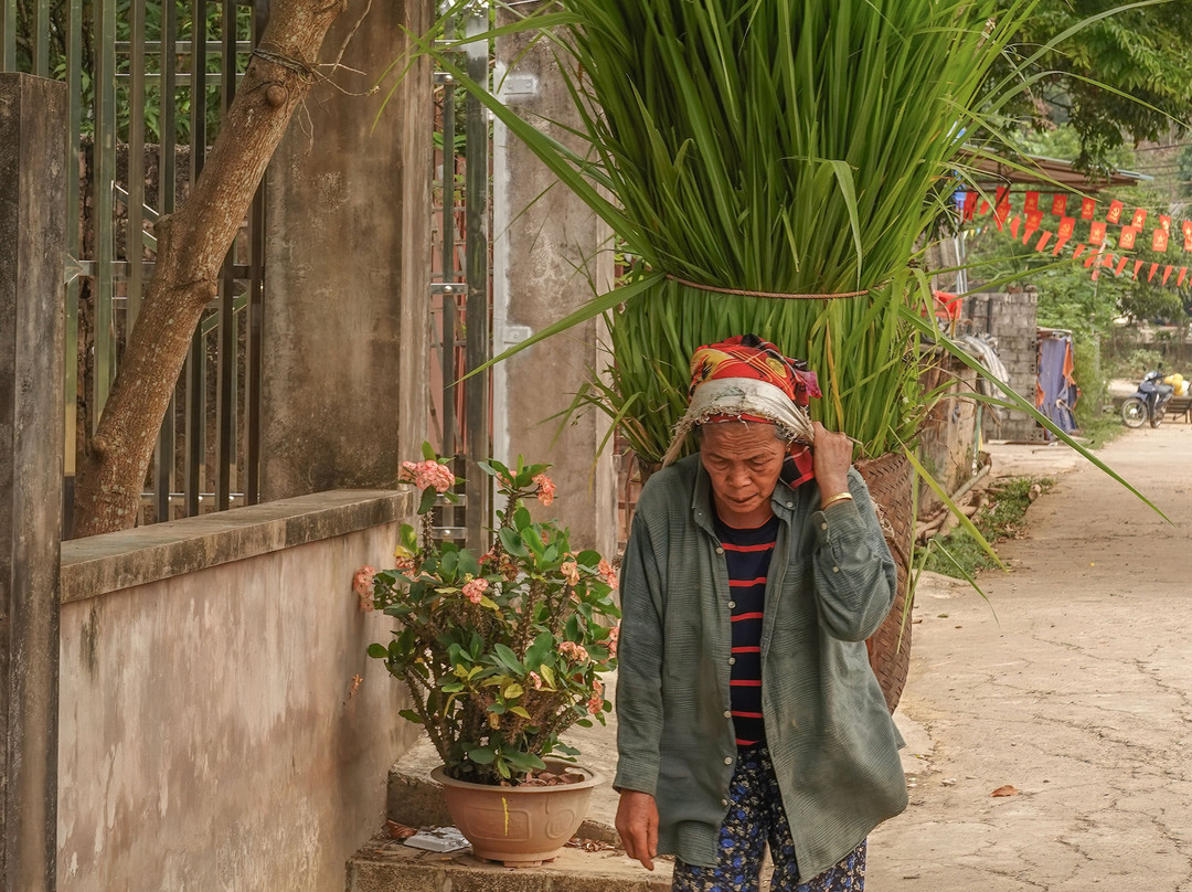 Đăng Khoa Tour-河内必去景点