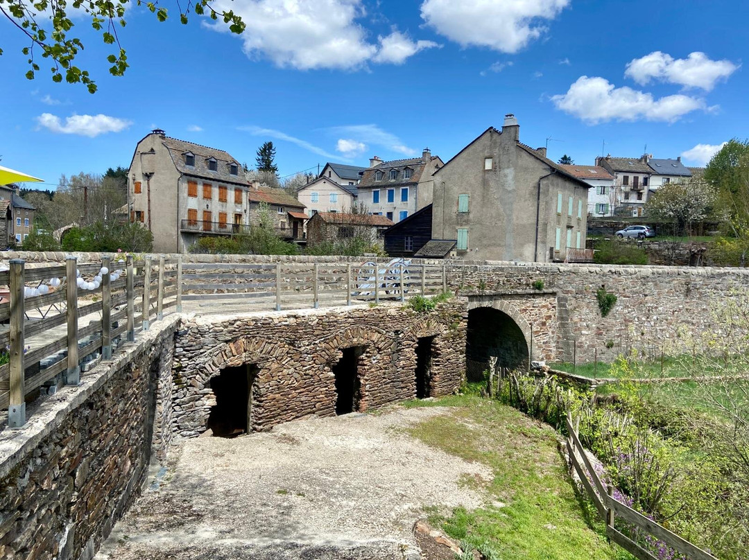 Le Relais de Modestine主图