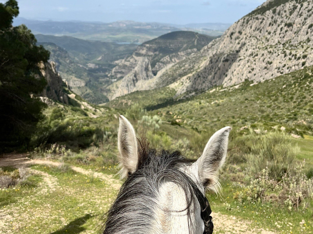 Horse Riding El Chorro-El Chorro必去景点