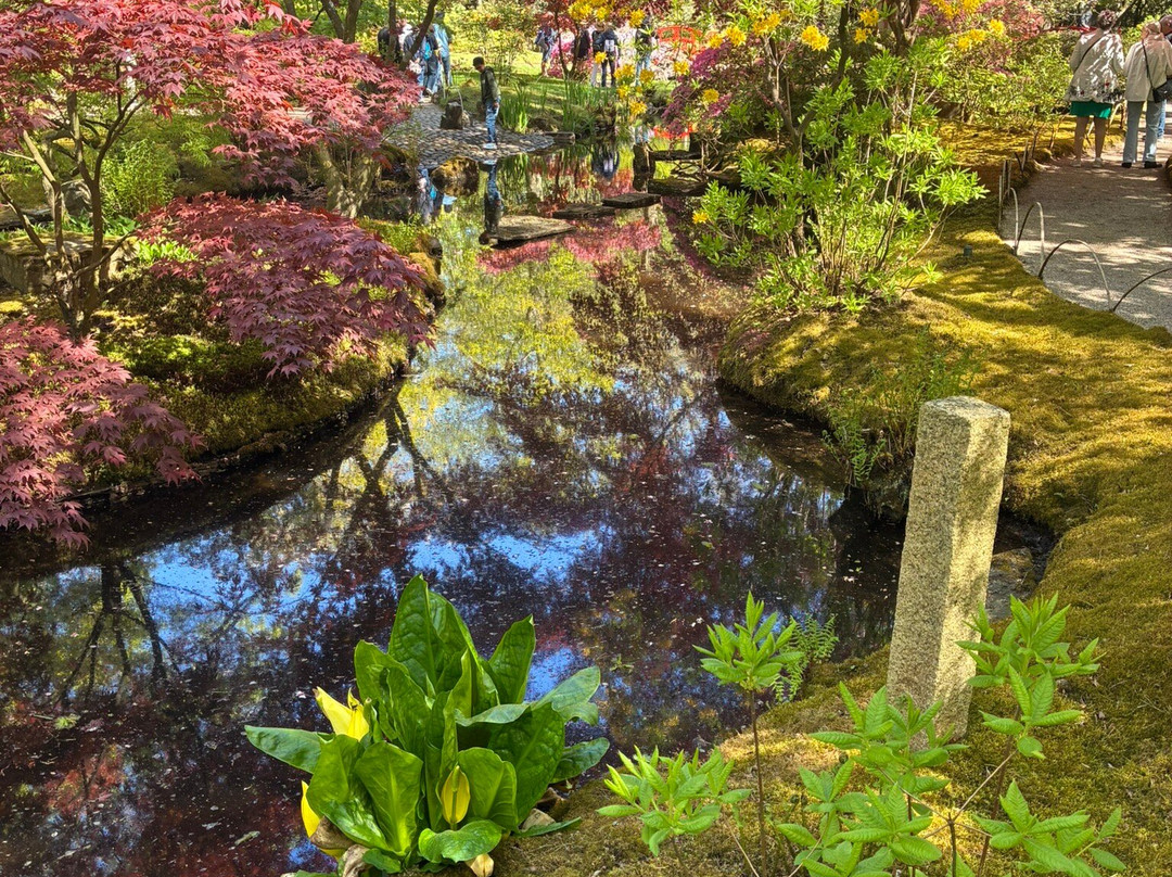海牙日式花园-海牙必去景点